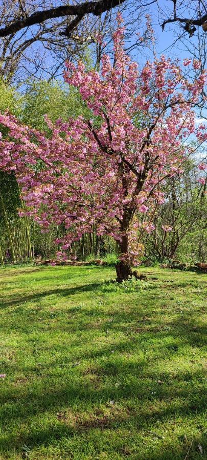 Aux Couleurs D'Esteil Sainte-Nathalene Ngoại thất bức ảnh
