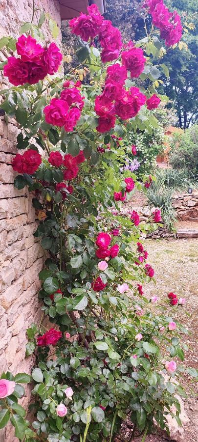 Aux Couleurs D'Esteil Sainte-Nathalene Ngoại thất bức ảnh
